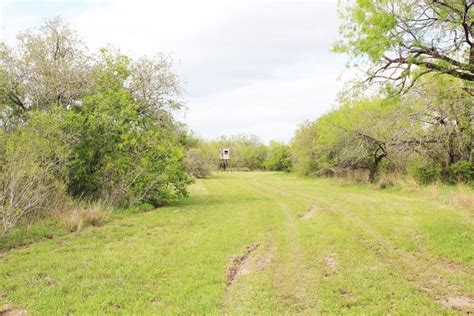 For more nearby real estate, explore land for sale in Houston, TX. . Hunting land for sale in texas
